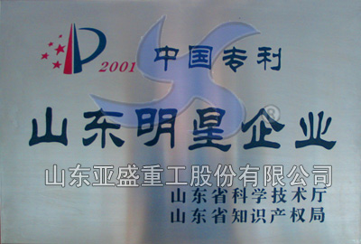 中國(guó)專利山東明星企業(yè)